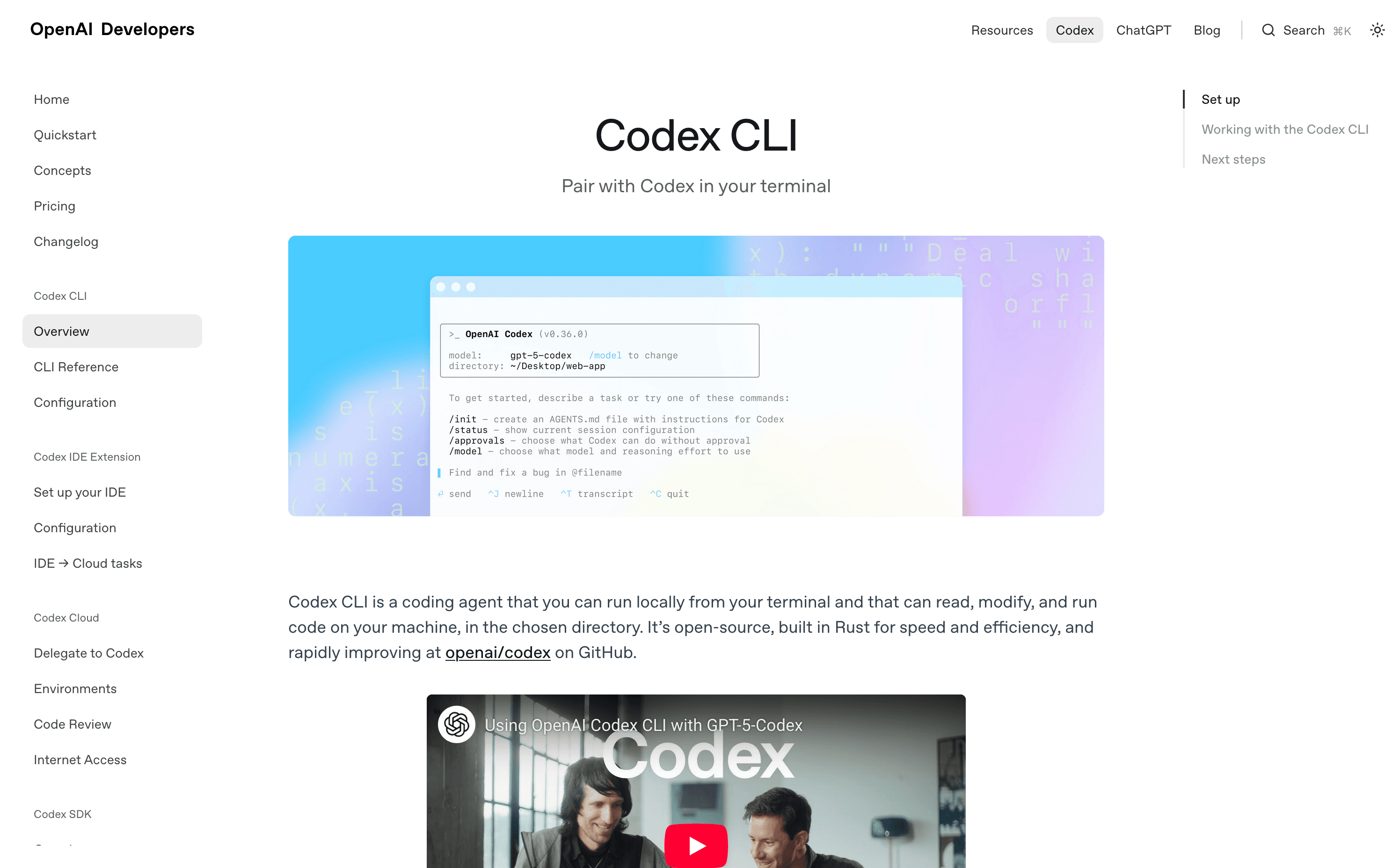 Codex CLI - Open AI